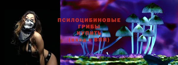 2c-b Абдулино