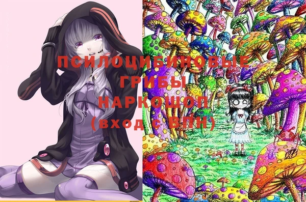 метадон Магас